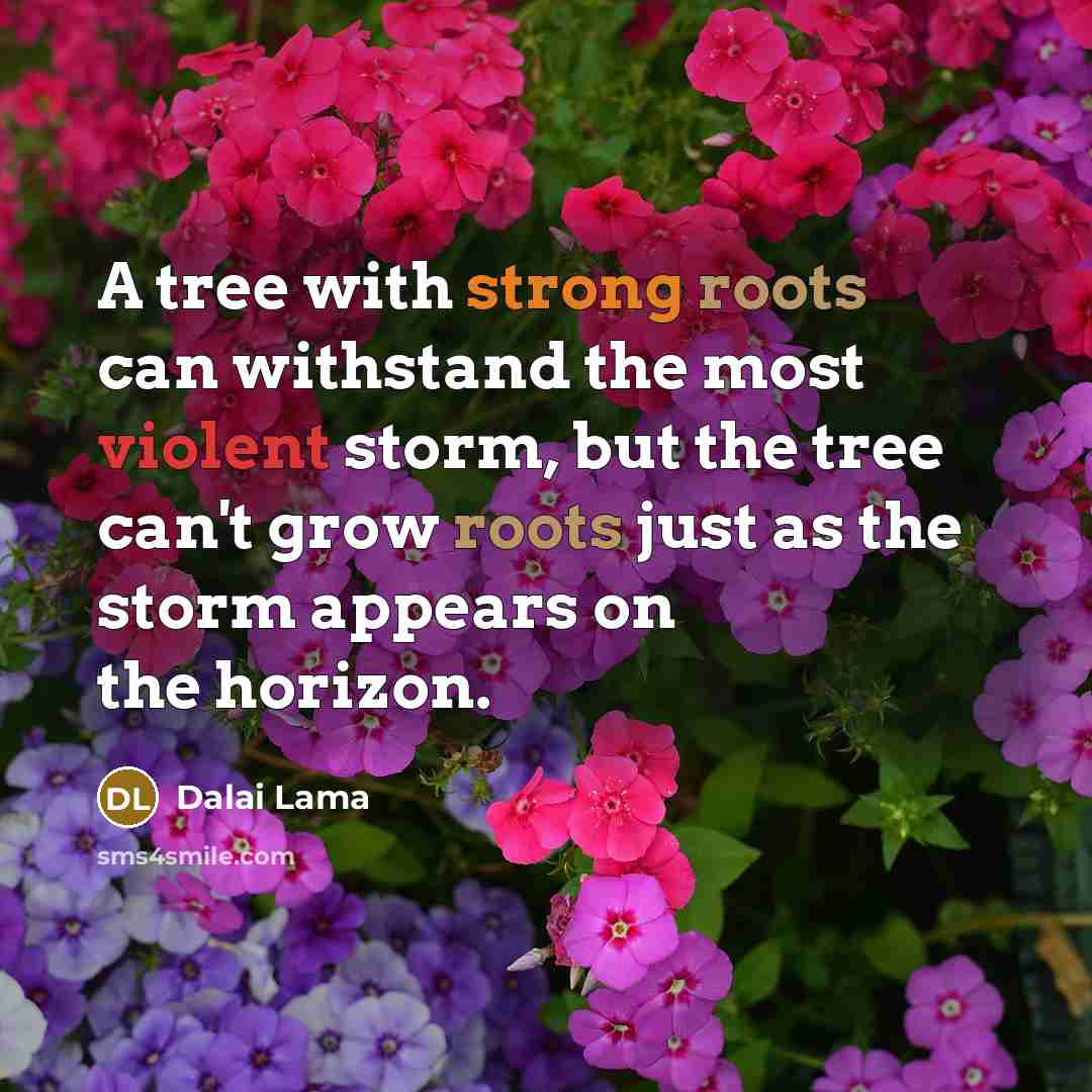 “A tree with strong roots can withstand the most violent storm, but the tree can't grow roots just as the storm appears on the horizon.” quote by Dalai Lama
