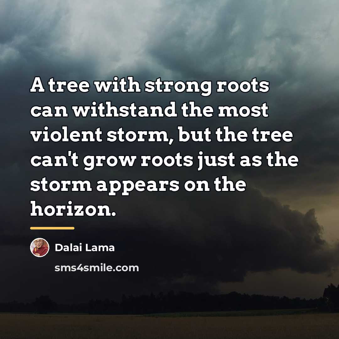 “A tree with strong roots can withstand the most violent…” quote by Dalai Lama