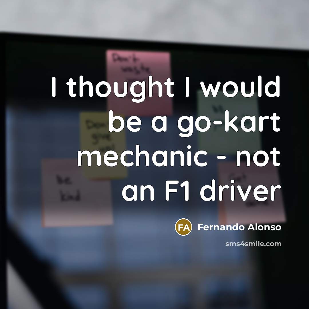“I thought I would be a go-kart mechanic - not…” quote by Fernando Alonso