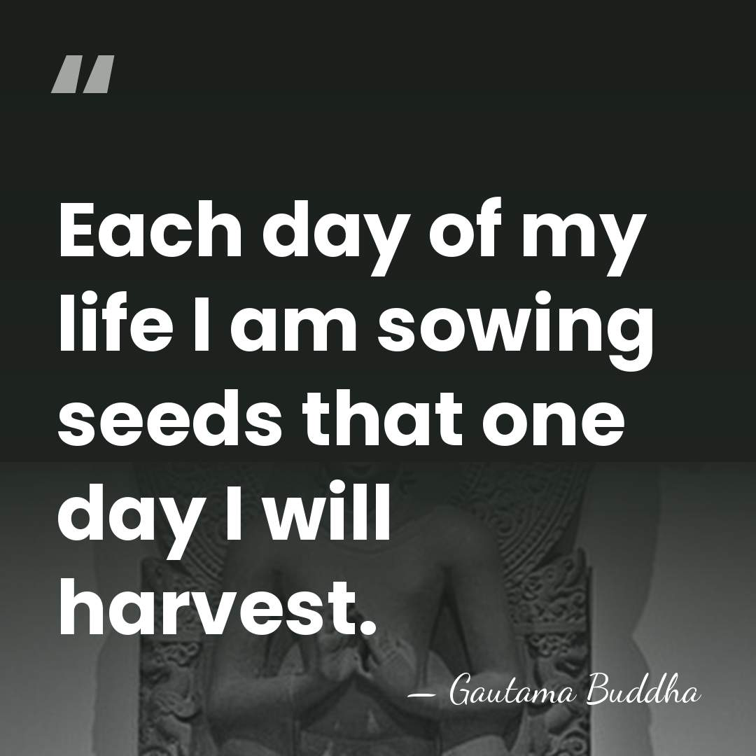 Each day of my life I am sowing seeds that one day&hellip; - Gautama Buddha