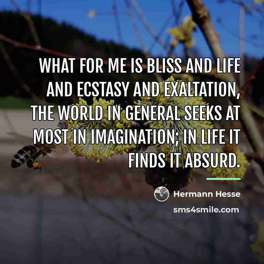 “What for me is bliss and life and ecstasy and…” quote by Hermann Hesse