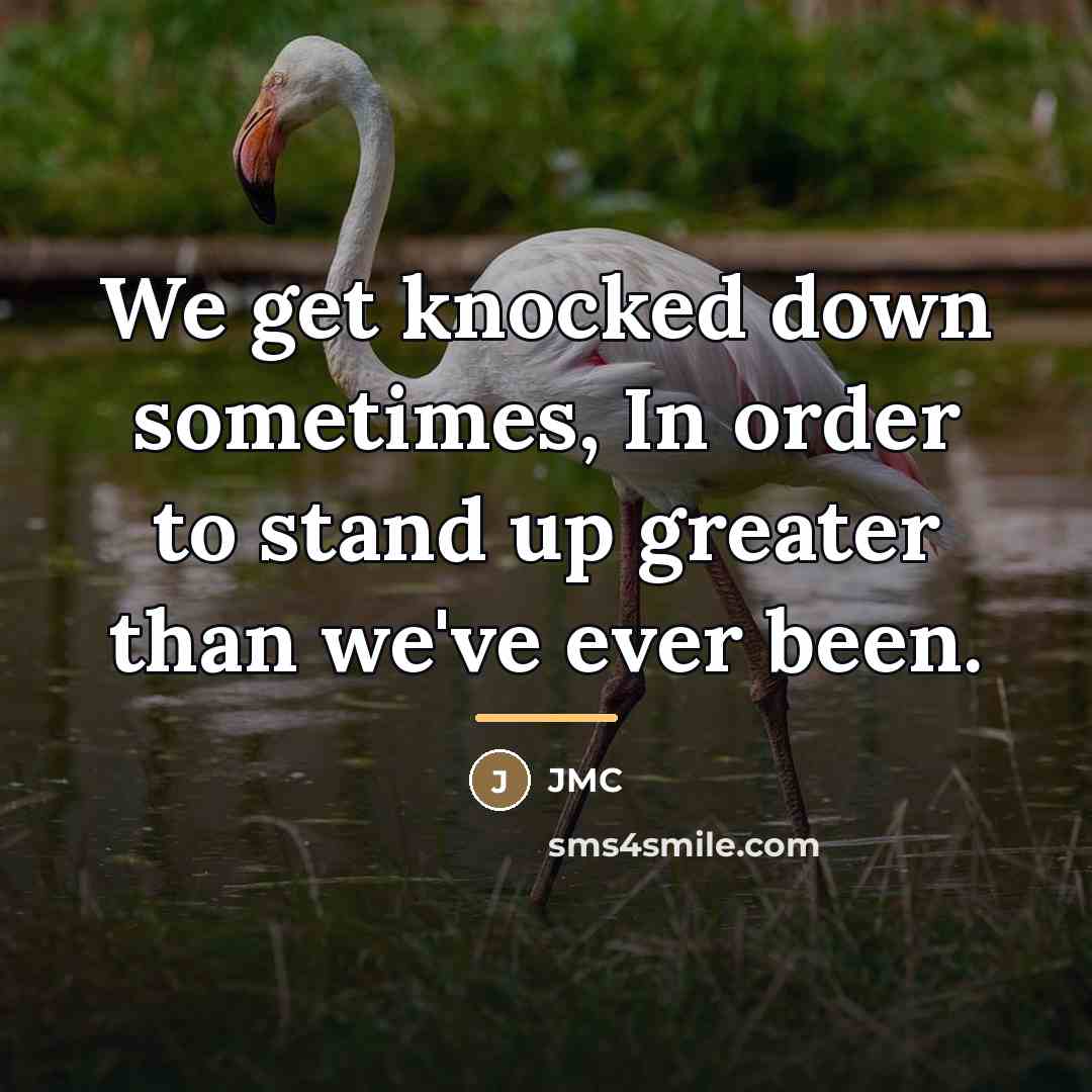“We get knocked down sometimes, In order to stand up…” quote by JMC