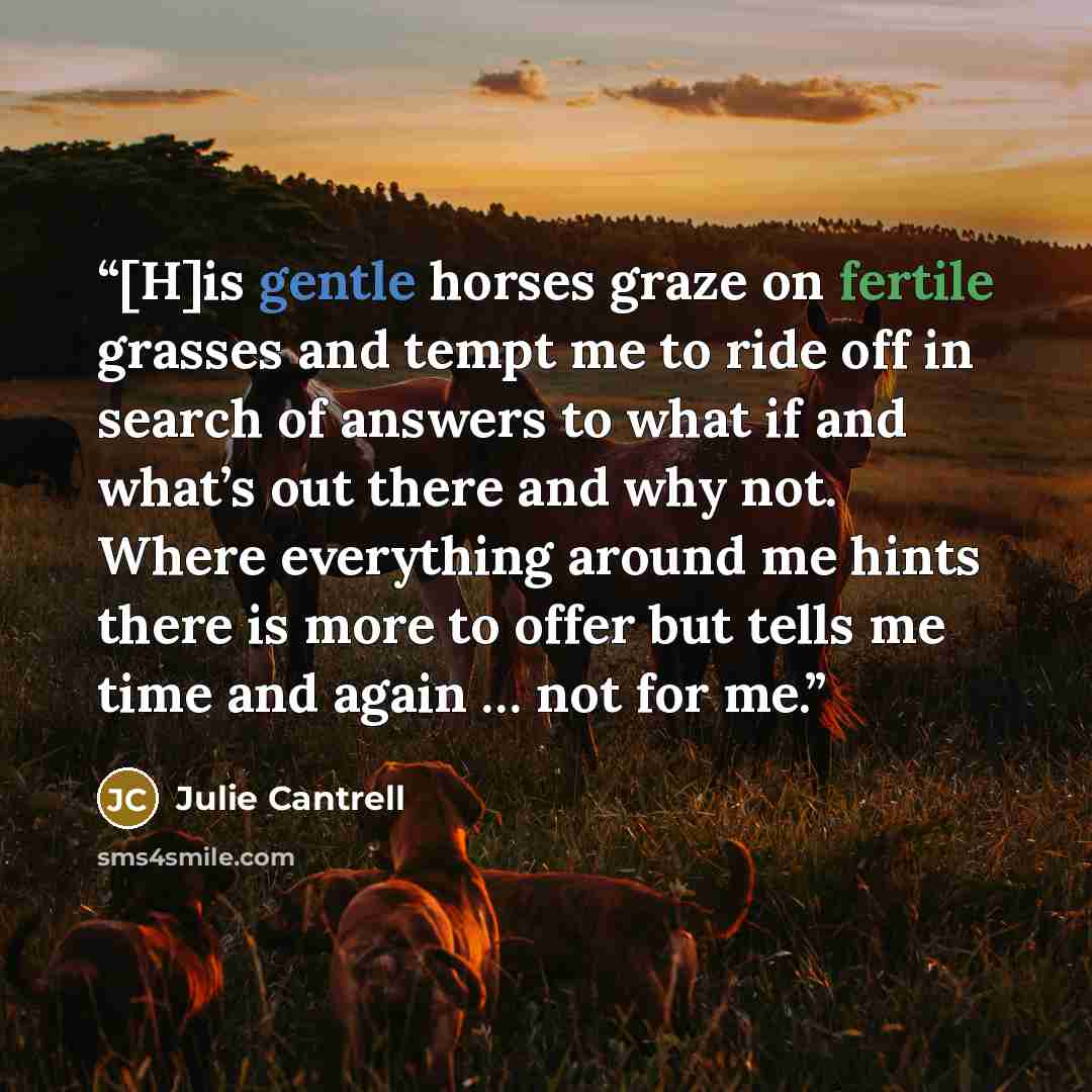 “[H]is gentle horses graze on fertile grasses and tempt me to ride off in search of answers to what if and what’s out there and why not. Where everything around me hints there is more to offer but tells me time and again … not for me.” quote by Julie Cantrell