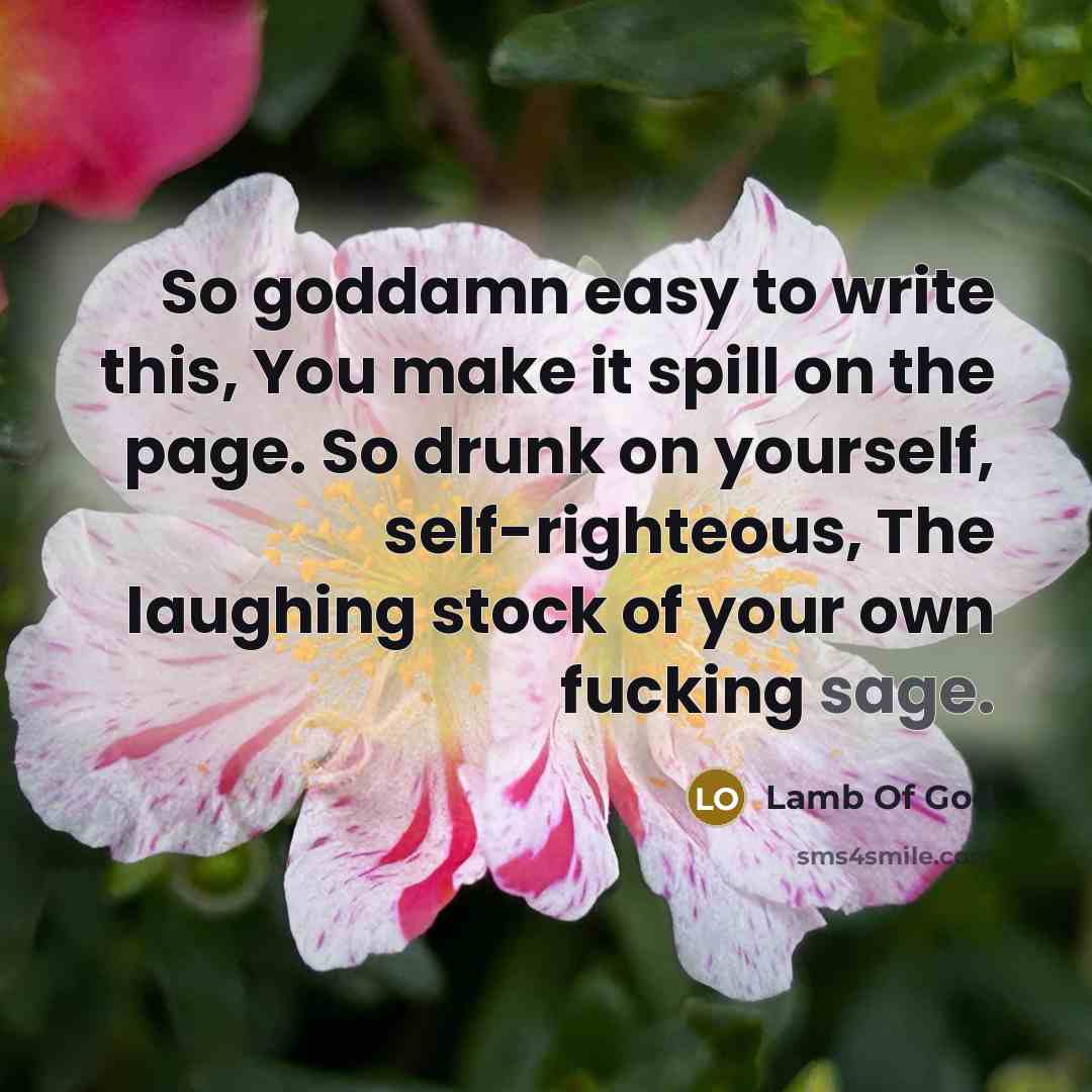 “So goddamn easy to write this, You make it spill…” quote by Lamb Of God