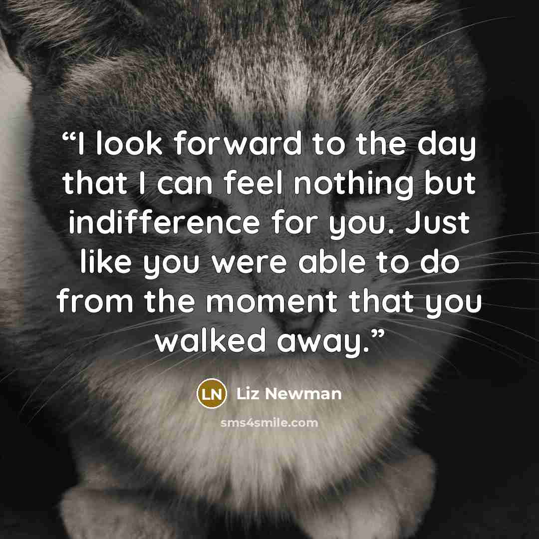 “I look forward to the day that I can feel nothing but indifference for you. Just like you were able to do from the moment that you walked away.” quote by Liz Newman
