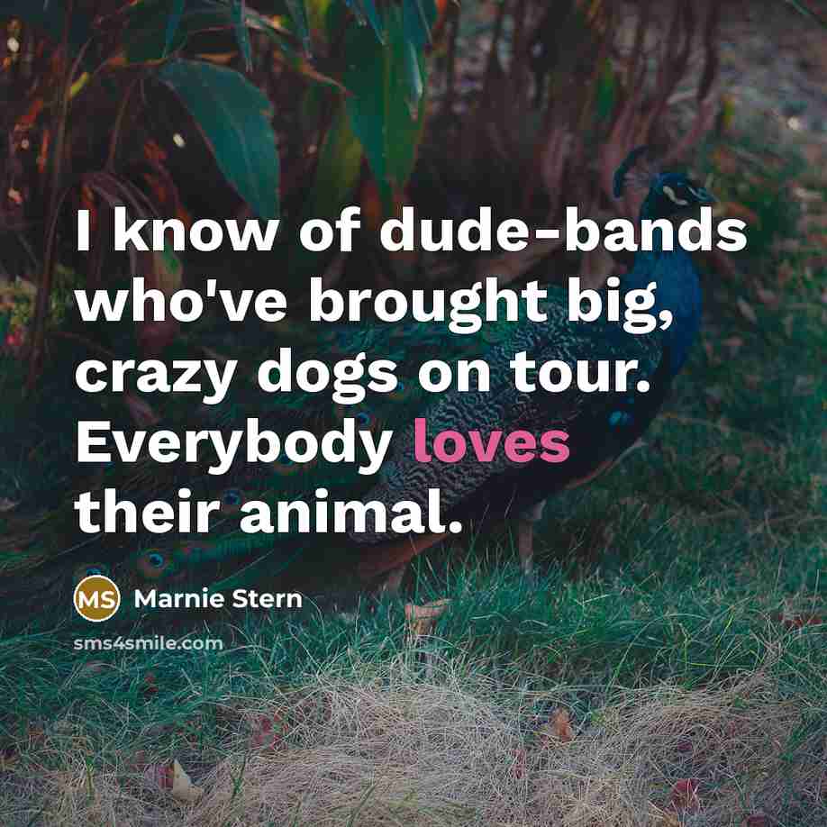 “I know of dude-bands who've brought big, crazy dogs on…” quote by Marnie Stern
