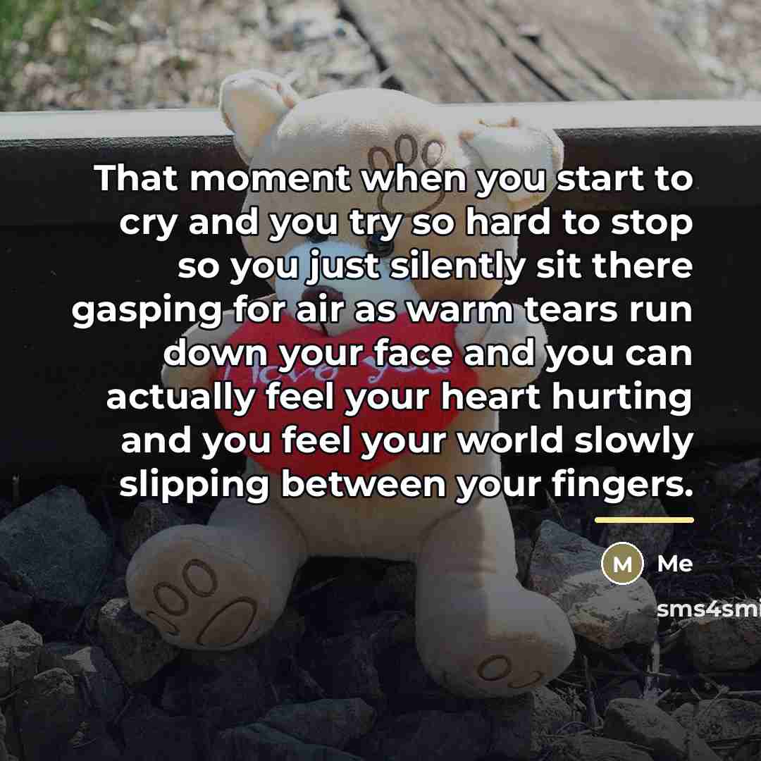 “That moment when you start to cry and you try…” quote by Me