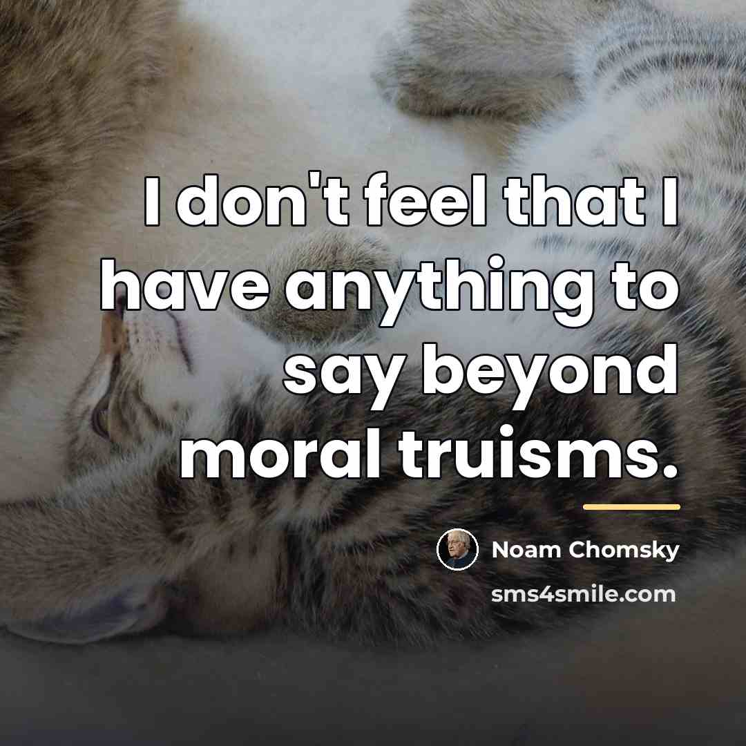 “I don't feel that I have anything to say beyond…” quote by Noam Chomsky