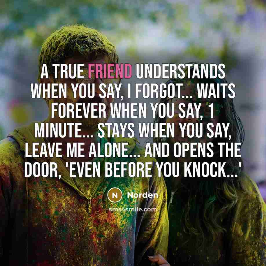 “A true friend understands when you say, I forgot... waits…” quote by Norden