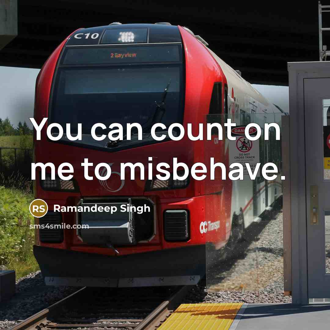 “You can count on me to misbehave.…” quote by Ramandeep Singh