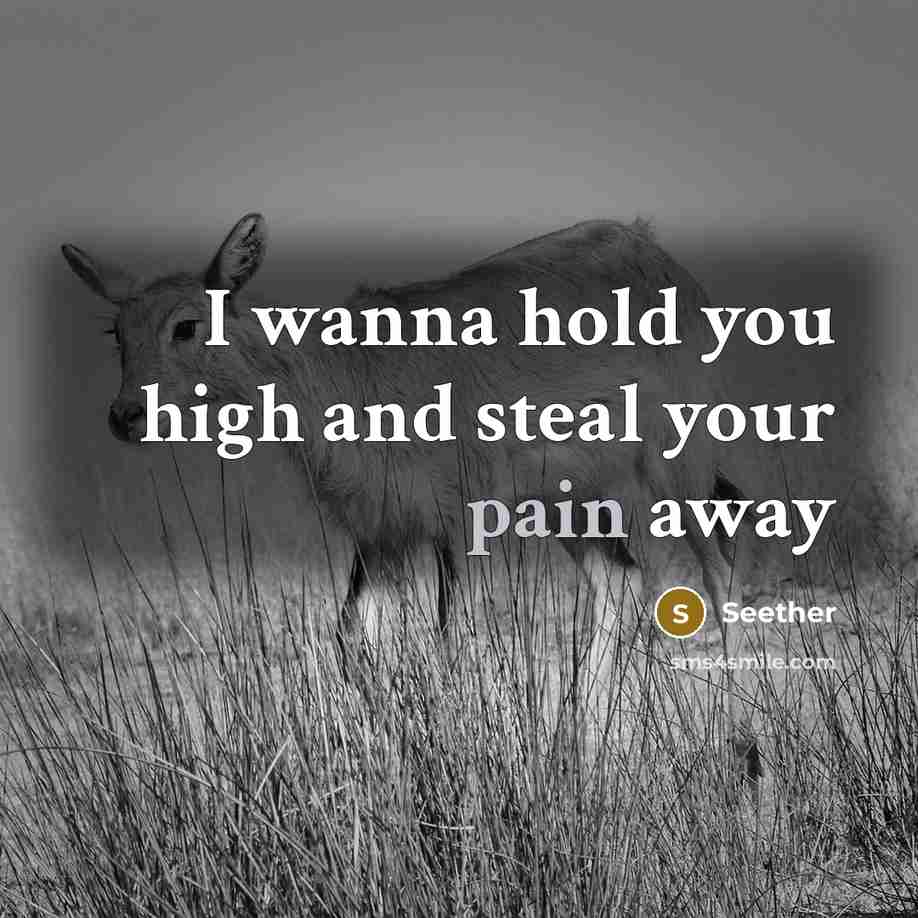 “I wanna hold you high and steal your pain away…” quote by Seether