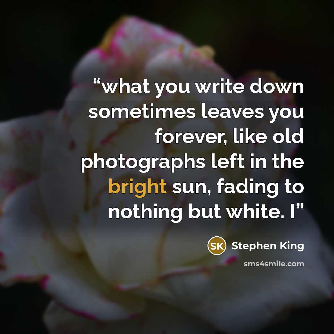 “what you write down sometimes leaves you forever, like old photographs left in the bright sun, fading to nothing but white. I” quote by Stephen King