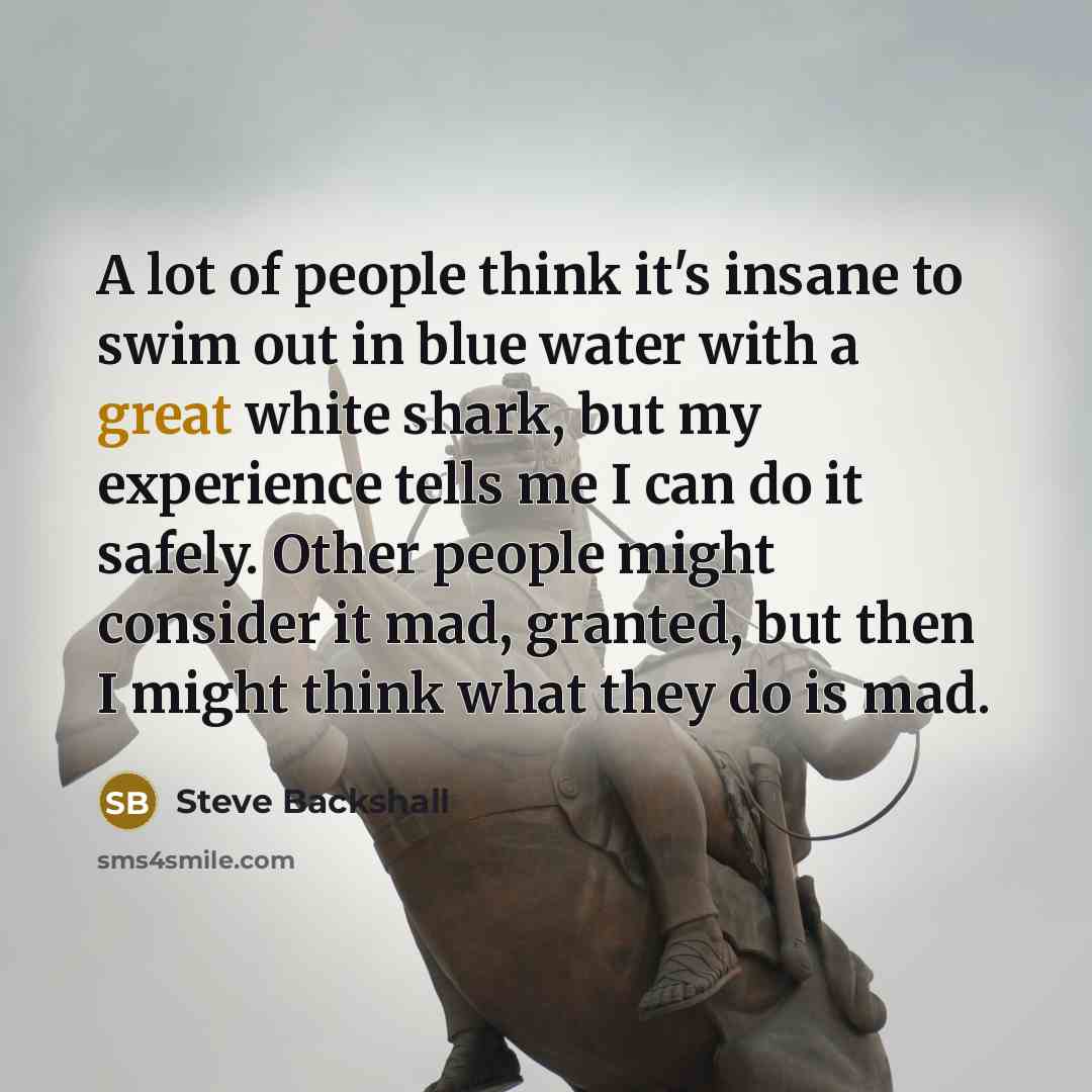 “A lot of people think it's insane to swim out…” quote by Steve Backshall