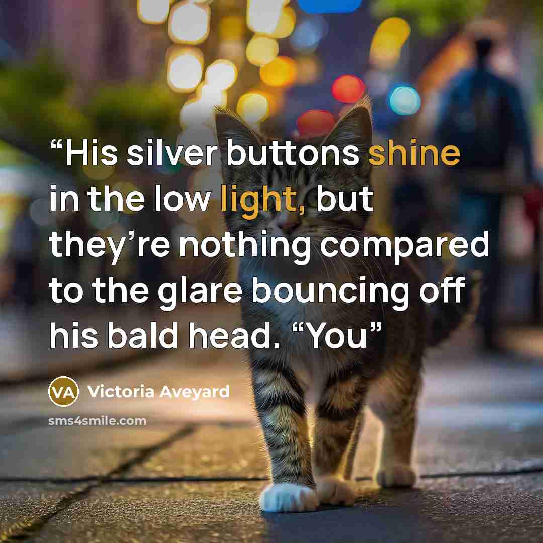 “His silver buttons shine in the low light, but they’re nothing compared to the glare bouncing off his bald head. “You” quote by Victoria Aveyard
