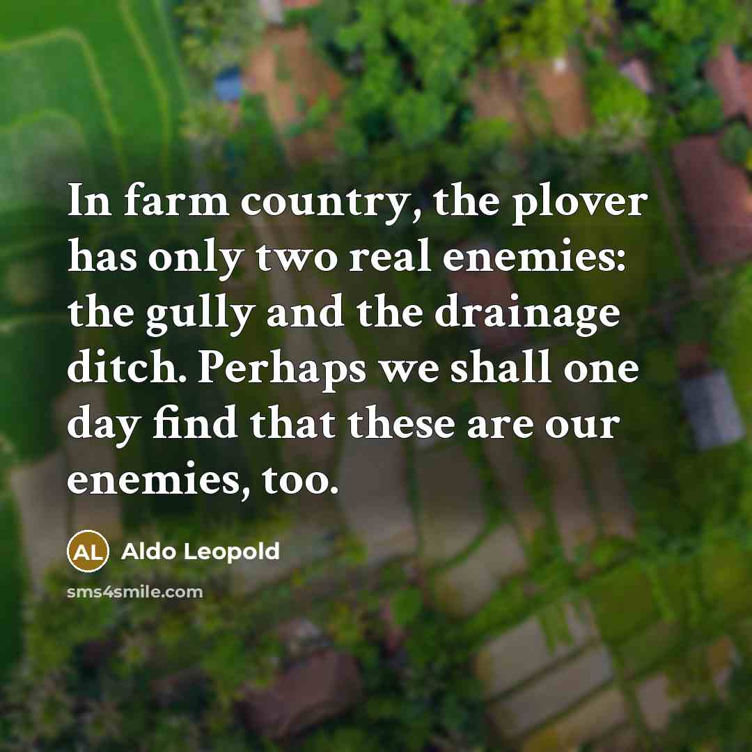 “In farm country, the plover has only two real enemies:…” quote by Aldo Leopold