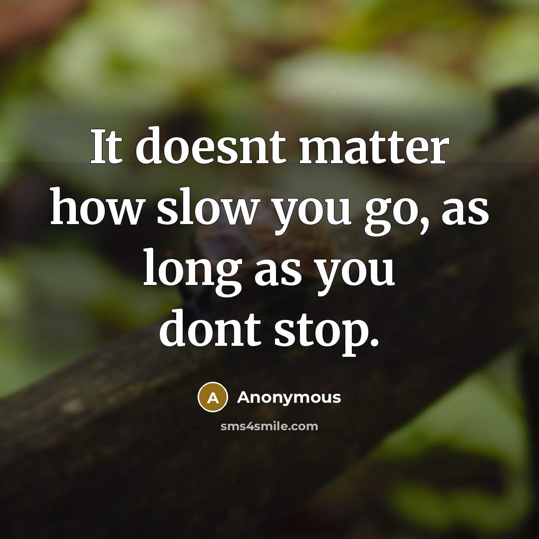 “It doesnt matter how slow you go, as long as you dont stop.” quote by Anonymous