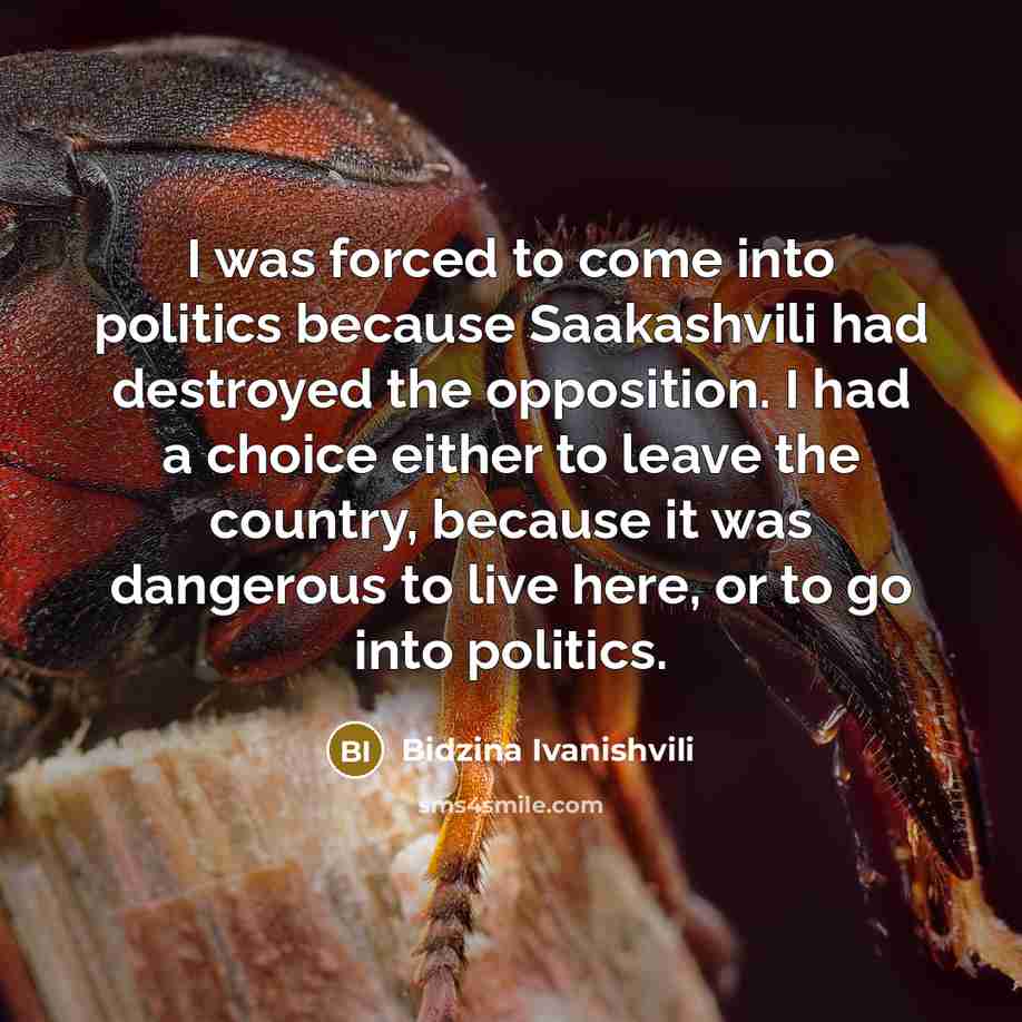 “I was forced to come into politics because Saakashvili had…” quote by Bidzina Ivanishvili