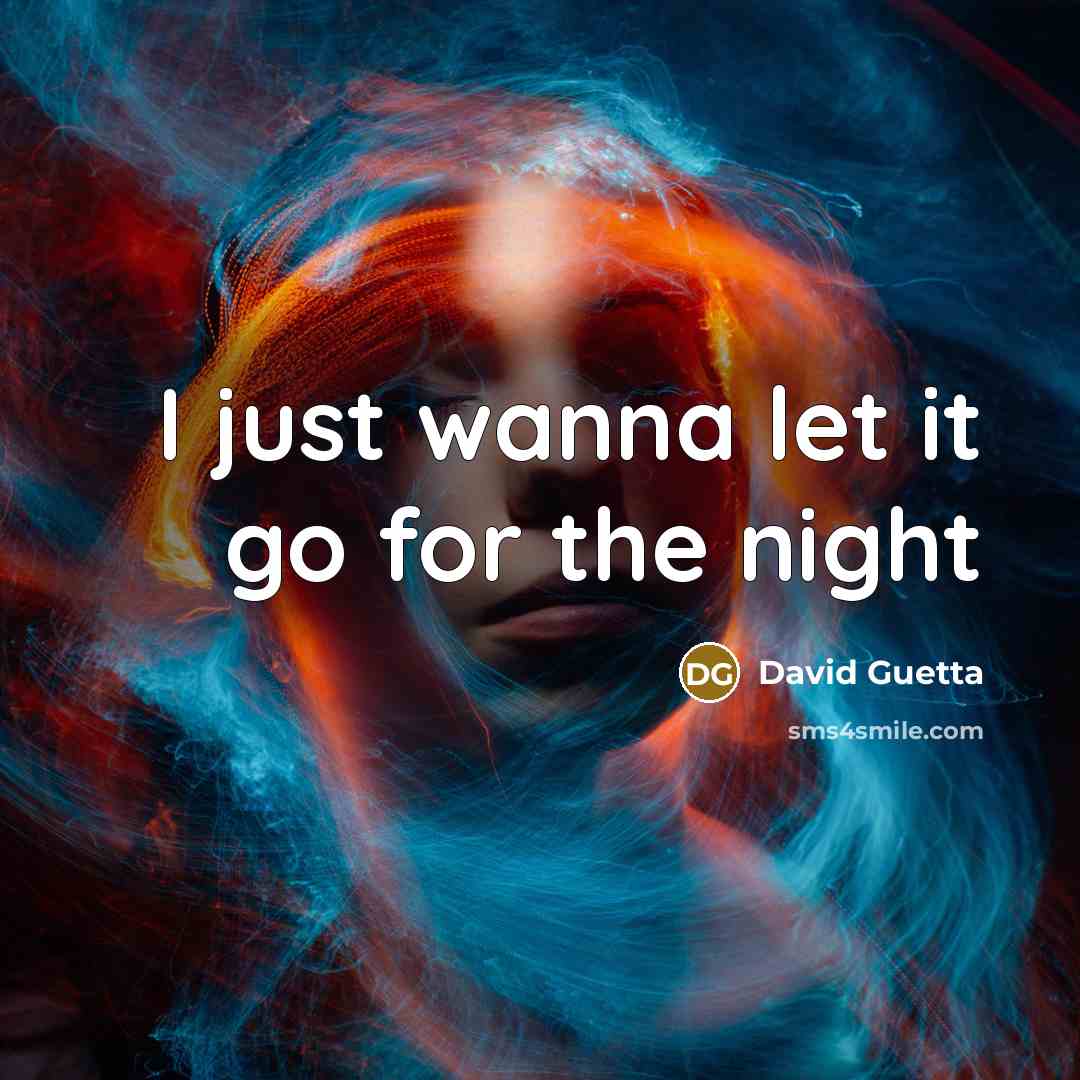 “I just wanna let it go for the night…” quote by David Guetta