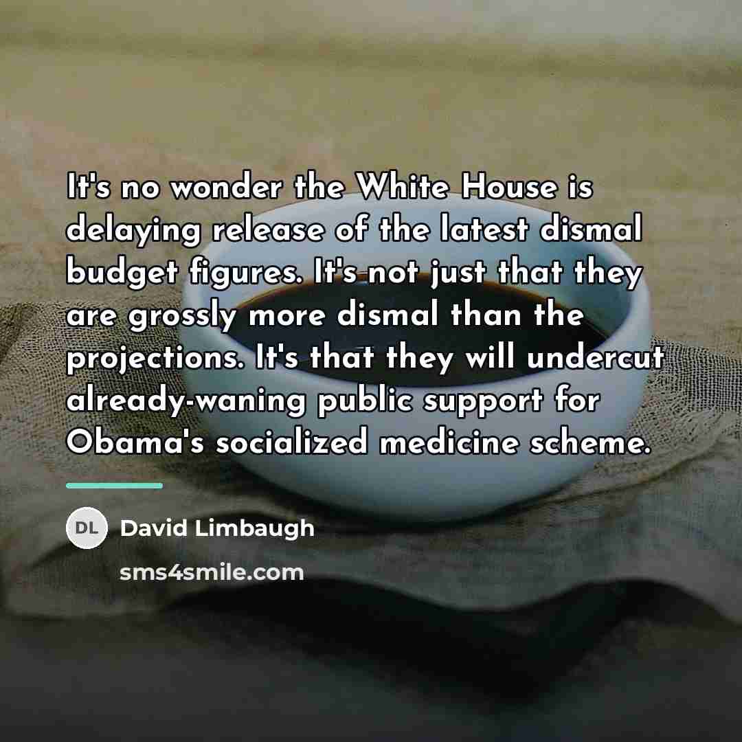 “It's no wonder the White House is delaying release of…” quote by David Limbaugh