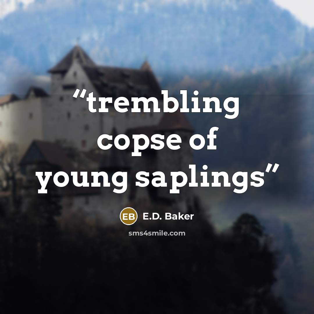 “trembling copse of young saplings” quote by E.D. Baker