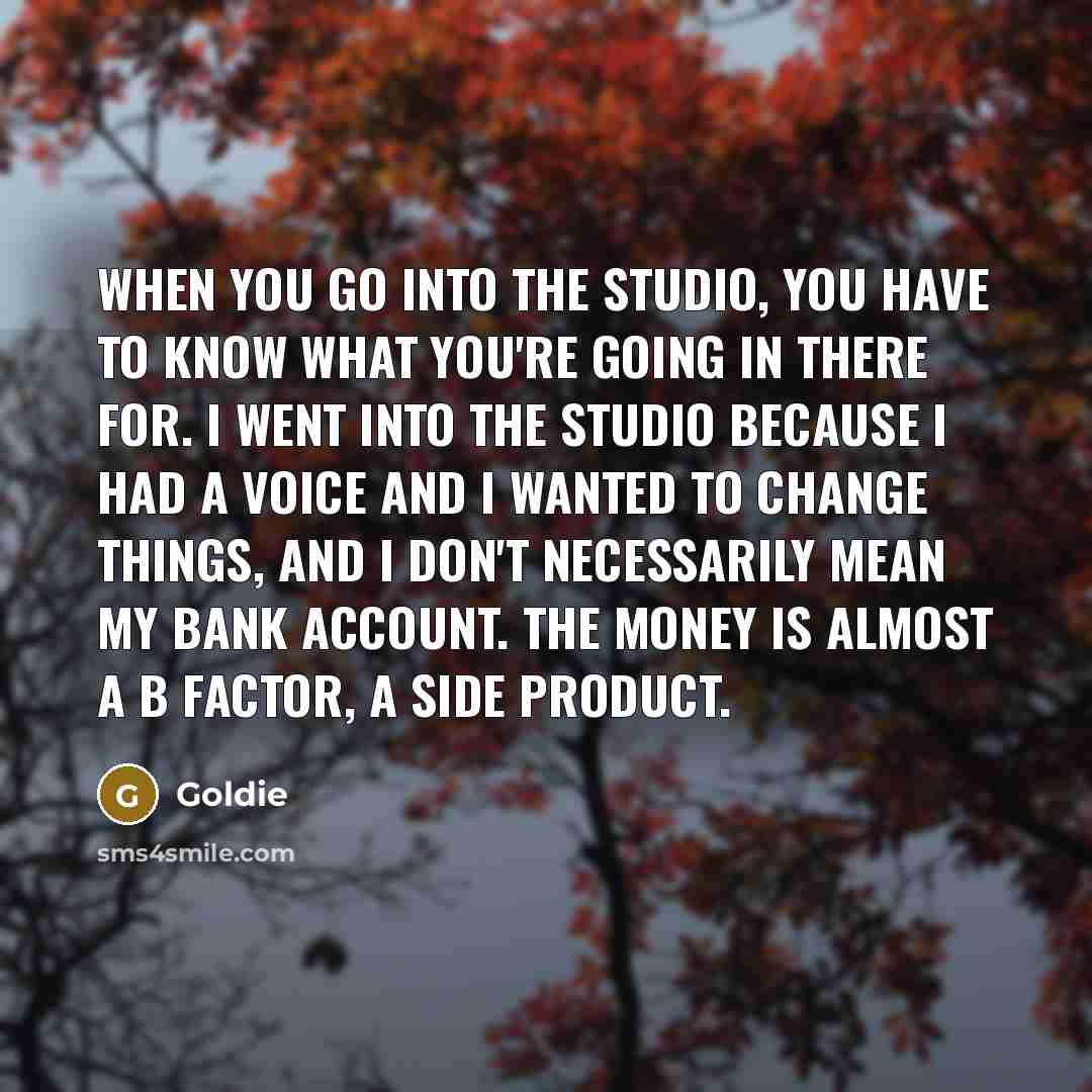 “When you go into the studio, you have to know…” quote by Goldie