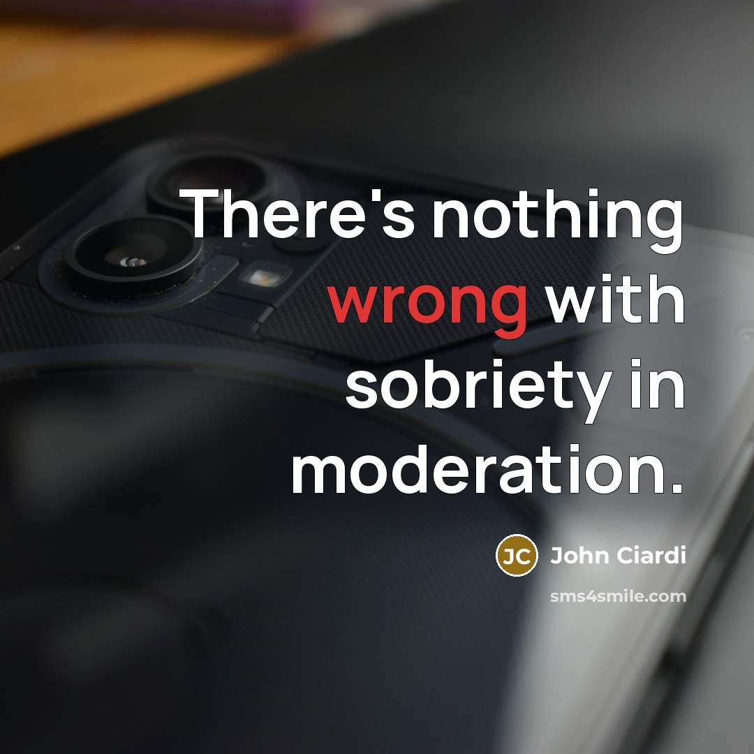 “There's nothing wrong with sobriety in moderation.…” quote by John Ciardi