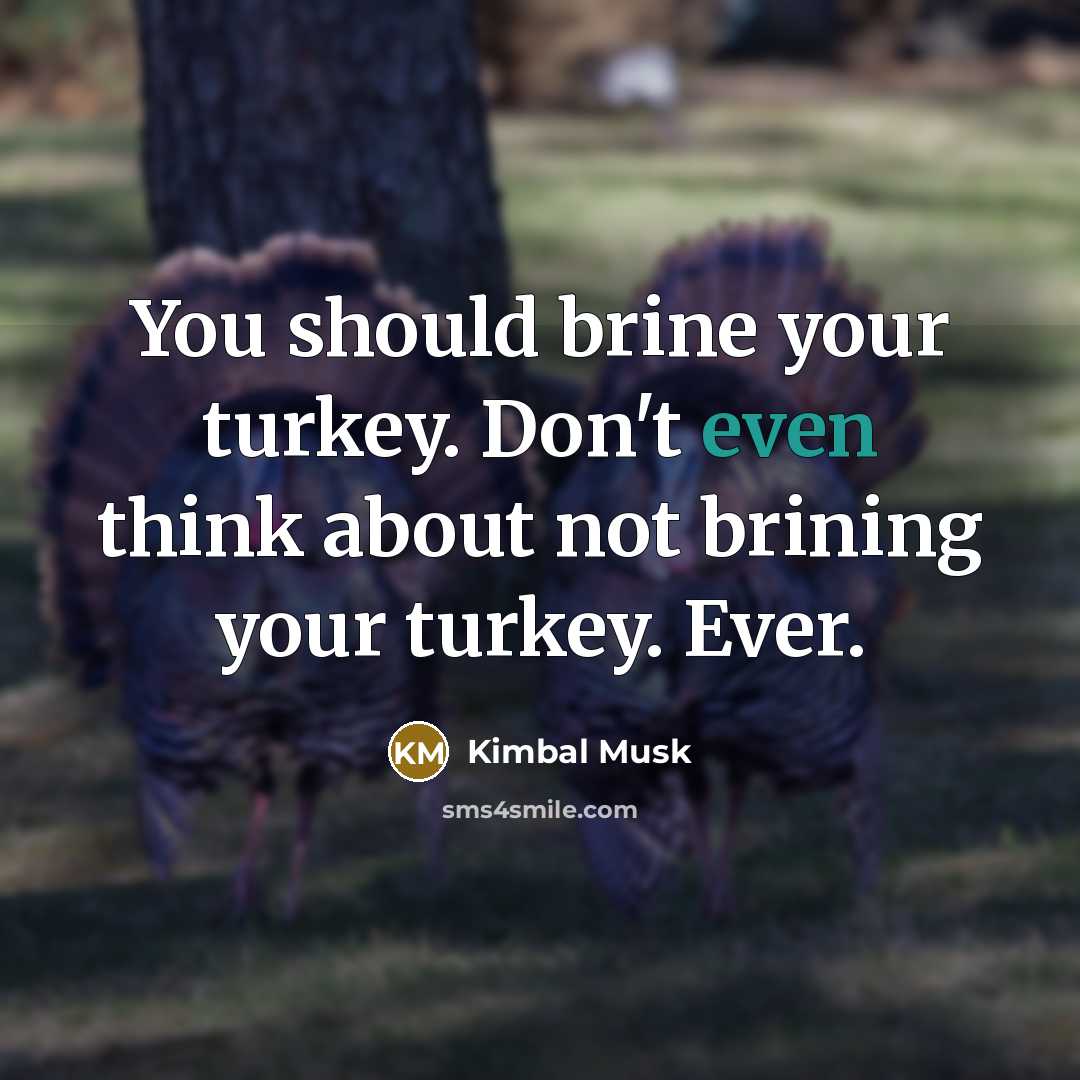 “You should brine your turkey. Don't even think about not…” quote by Kimbal Musk