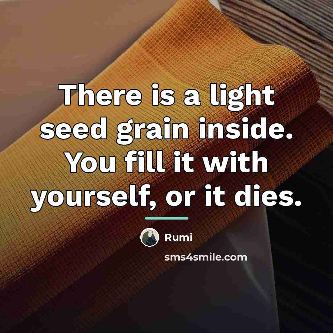 “There is a light seed grain inside. You fill it…” quote by Rumi