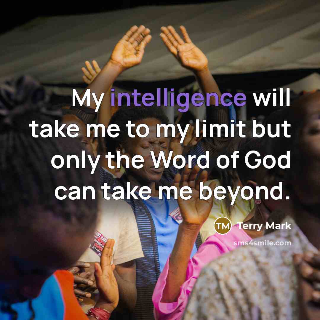 “My intelligence will take me to my limit but only…” quote by Terry Mark