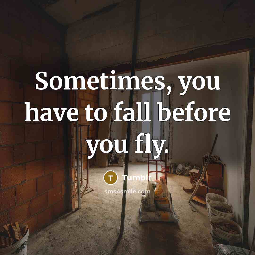 “Sometimes, you have to fall before you fly.…” quote by Tumblr