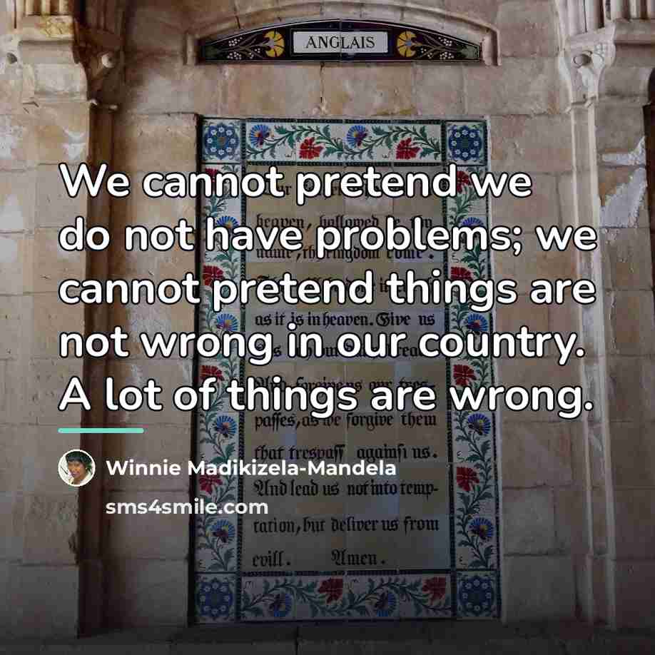 “We cannot pretend we do not have problems; we cannot…” quote by Winnie Madikizela-Mandela