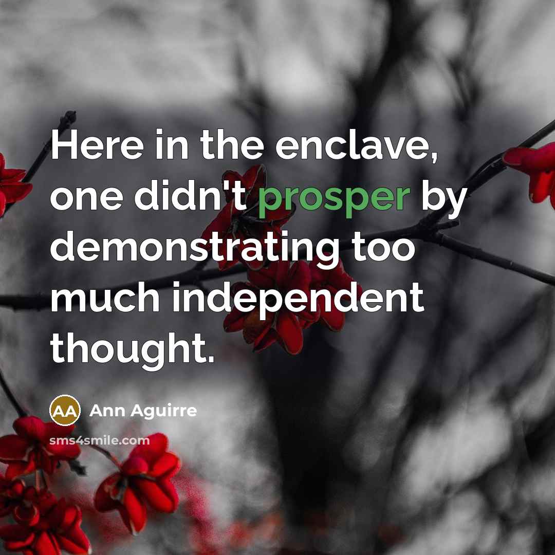 “Here in the enclave, one didn't prosper by demonstrating too…” quote by Ann Aguirre