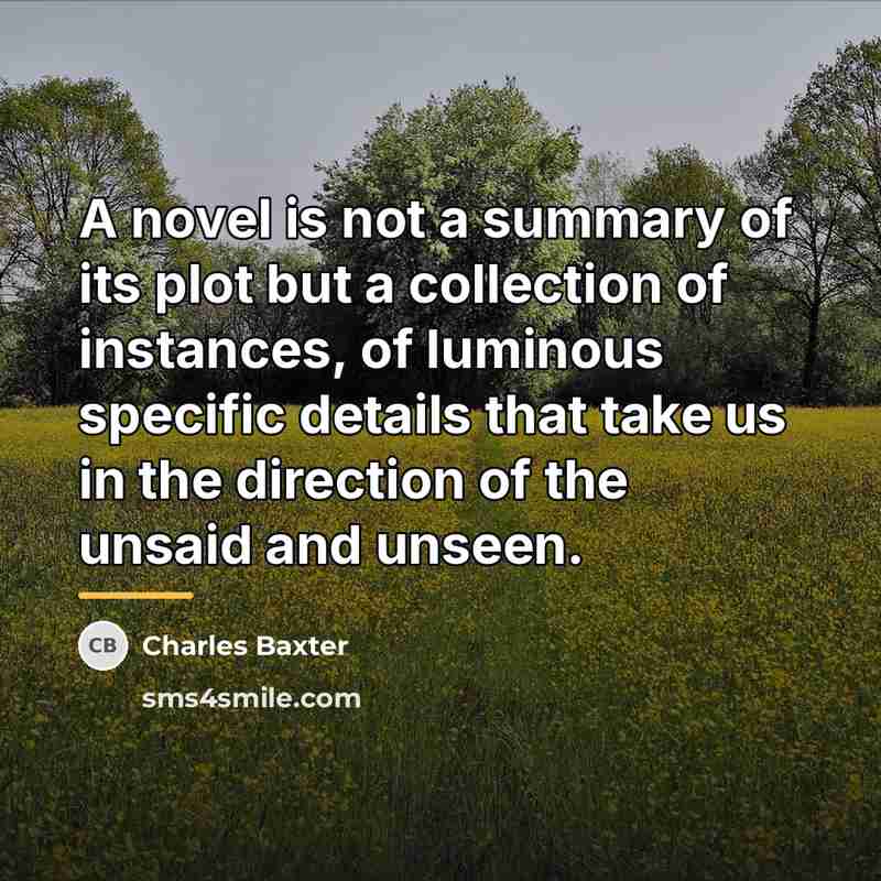“A novel is not a summary of its plot but…” quote by Charles Baxter