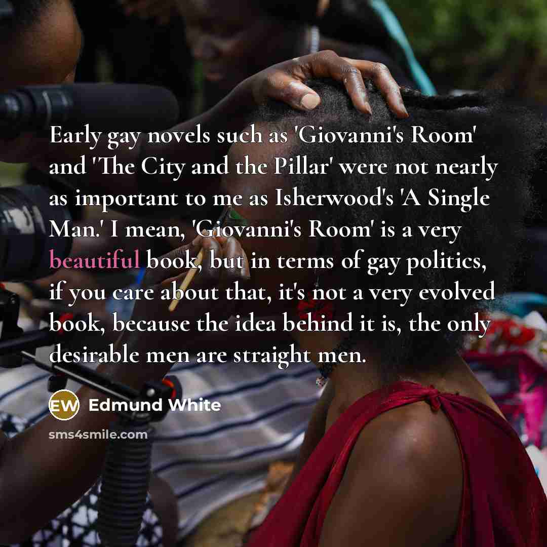 “Early gay novels such as 'Giovanni's Room' and 'The City…” quote by Edmund White