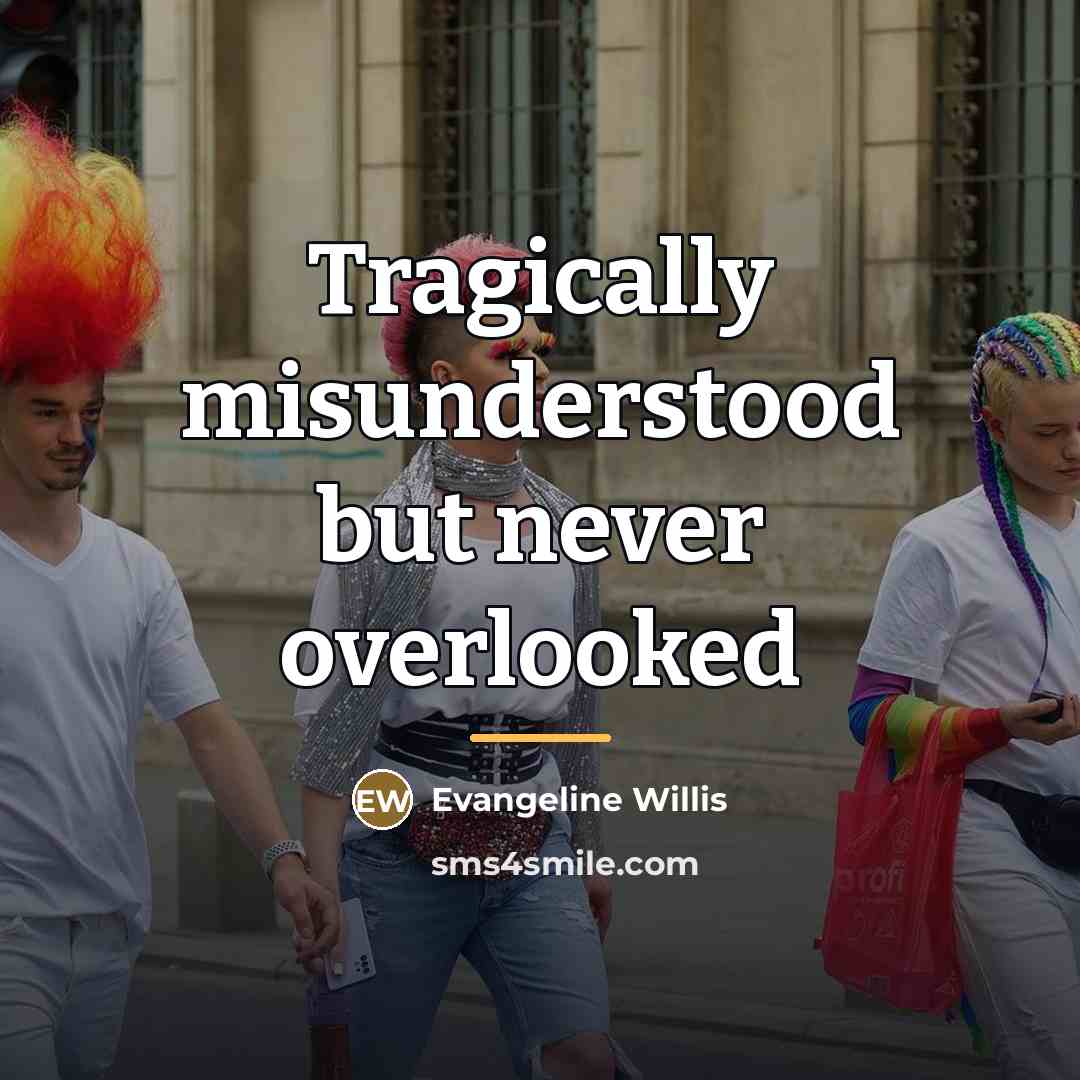 “Tragically misunderstood but never overlooked…” quote by Evangeline Willis