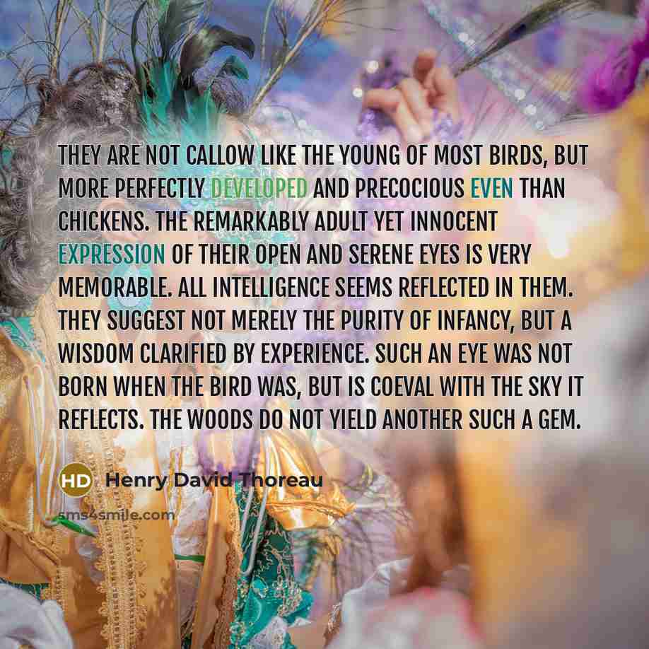 “They are not callow like the young of most birds,…” quote by Henry David Thoreau