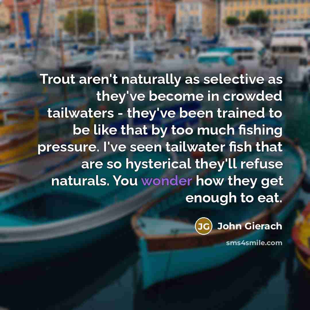 “Trout aren't naturally as selective as they've become in crowded…” quote by John Gierach