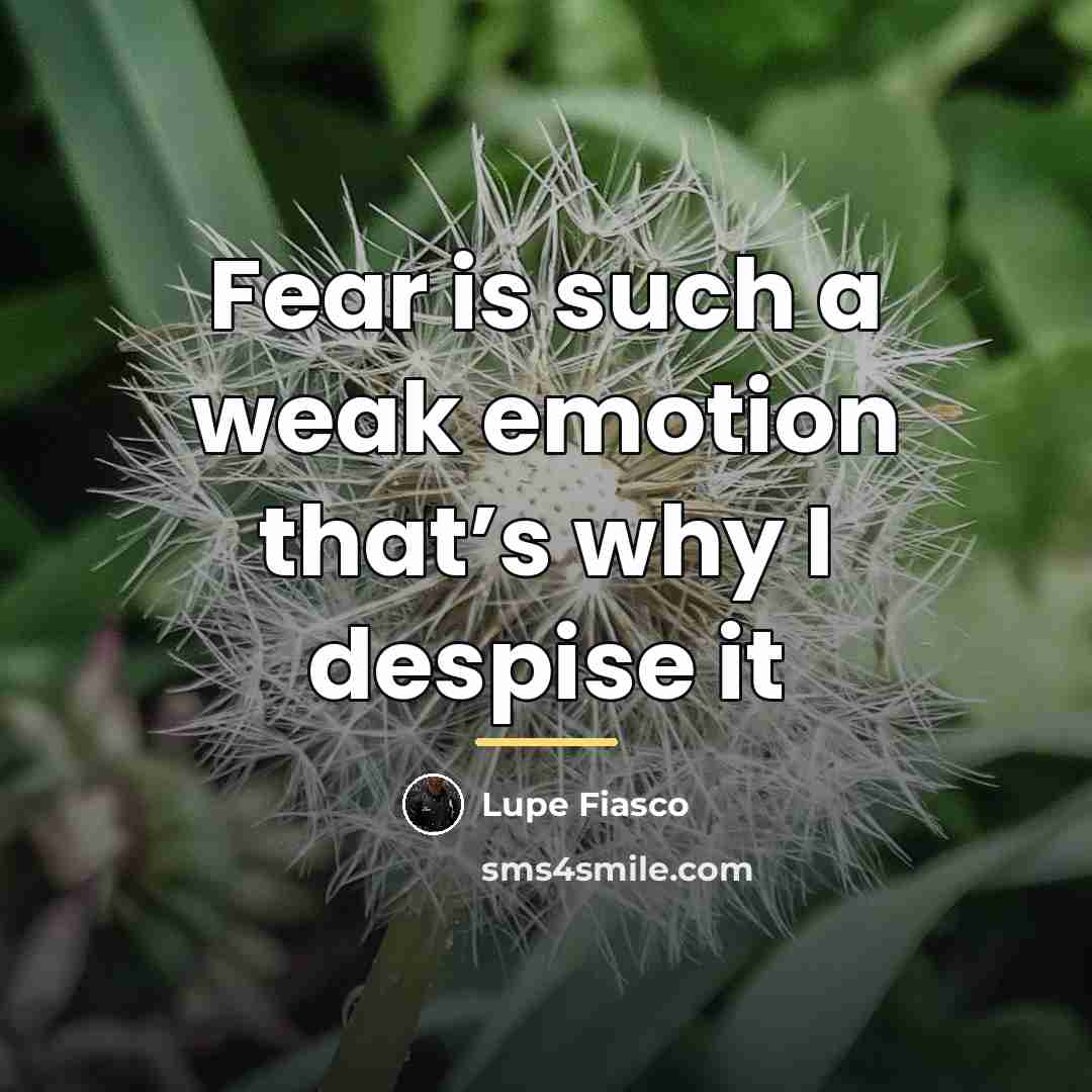 “Fear is such a weak emotion that’s why I despise…” quote by Lupe Fiasco