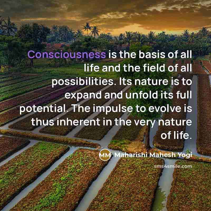 “Consciousness is the basis of all life and the field…” quote by Maharishi Mahesh Yogi