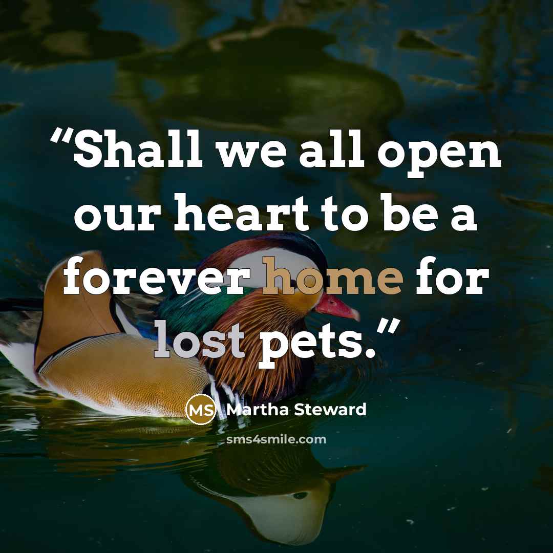 “Shall we all open our heart to be a forever home for lost pets.” quote by Martha Steward