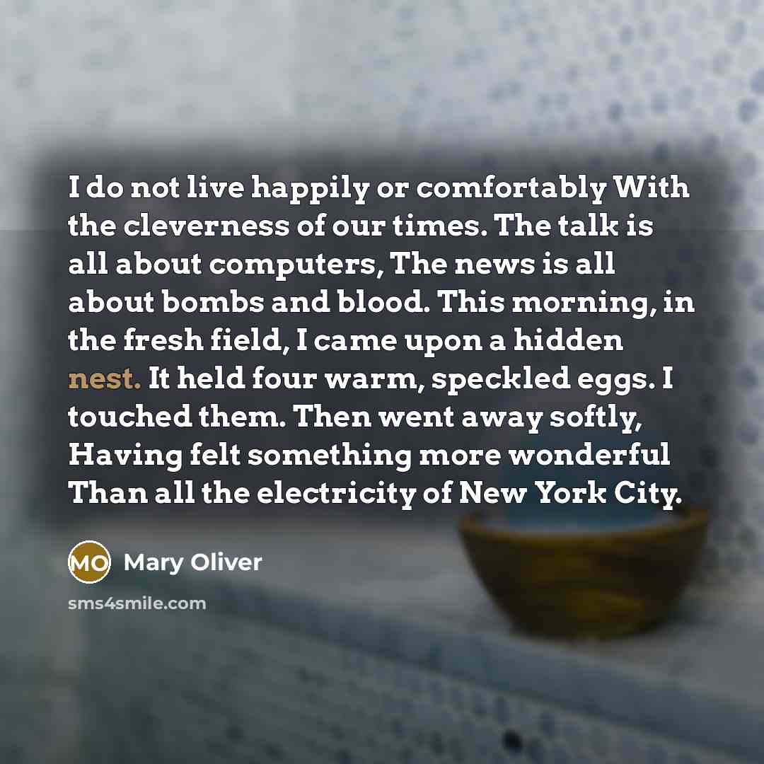 “I do not live happily or comfortably With the cleverness…” quote by Mary Oliver
