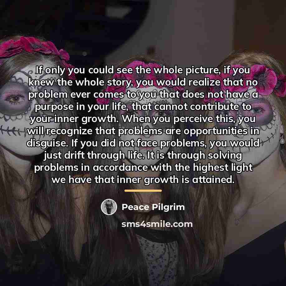 “If only you could see the whole picture, if you…” quote by Peace Pilgrim