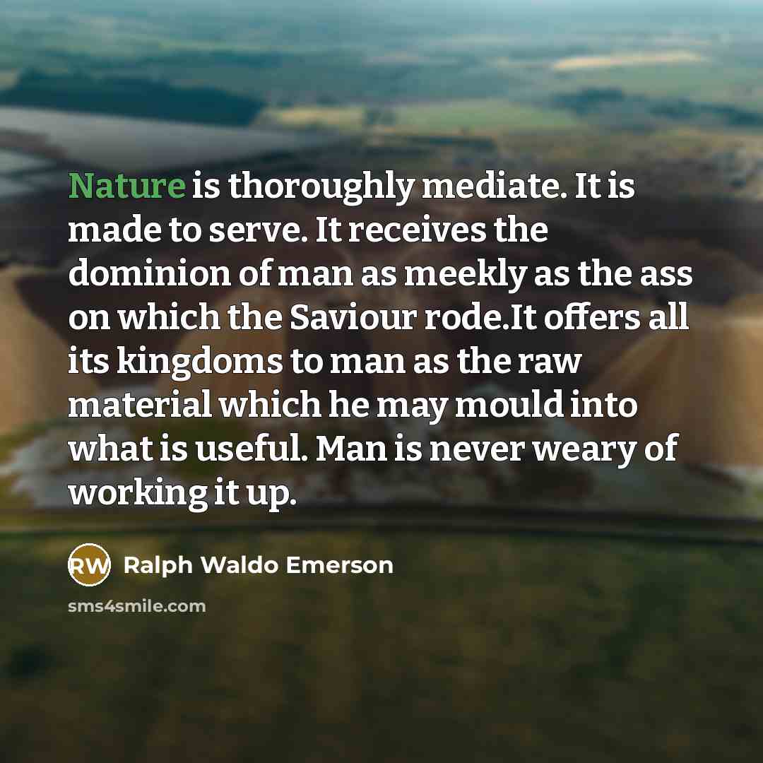 “Nature is thoroughly mediate. It is made to serve. It…” quote by Ralph Waldo Emerson