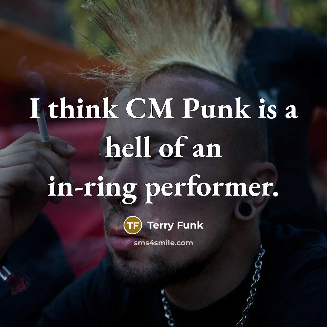 “I think CM Punk is a hell of an in-ring performer.” quote by Terry Funk