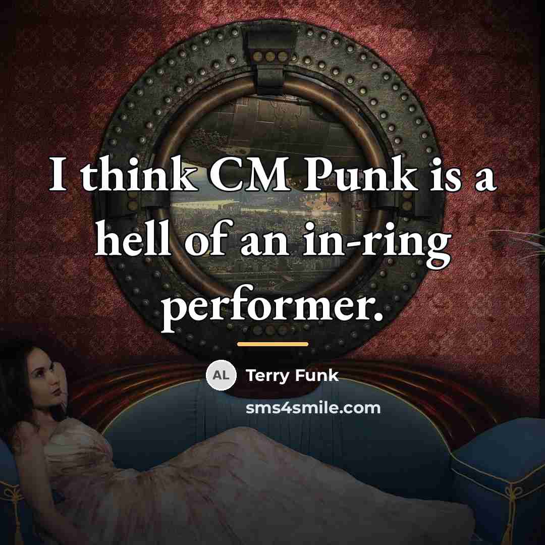 “I think CM Punk is a hell of an in-ring…” quote by Terry Funk