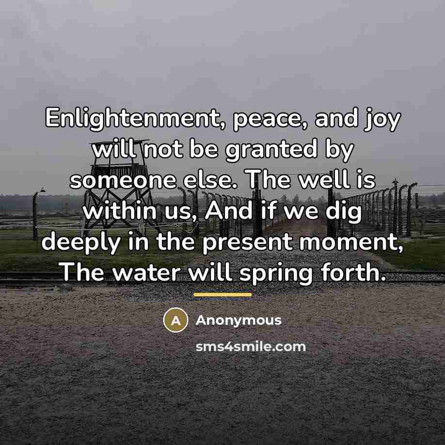 “Enlightenment, peace, and joy will not be granted by someone…” quote by Anonymous