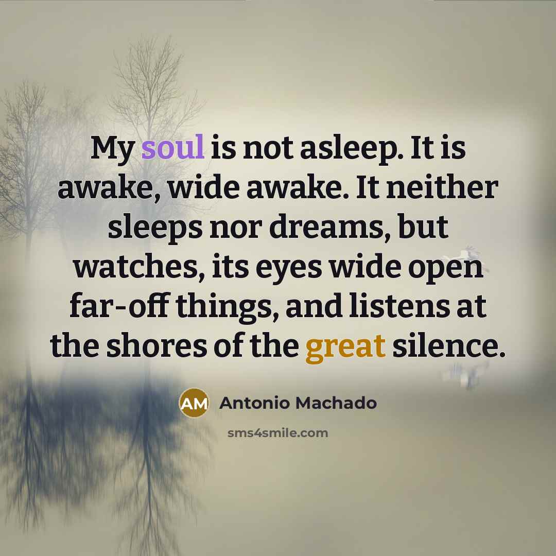 “My soul is not asleep. It is awake, wide awake.…” quote by Antonio Machado