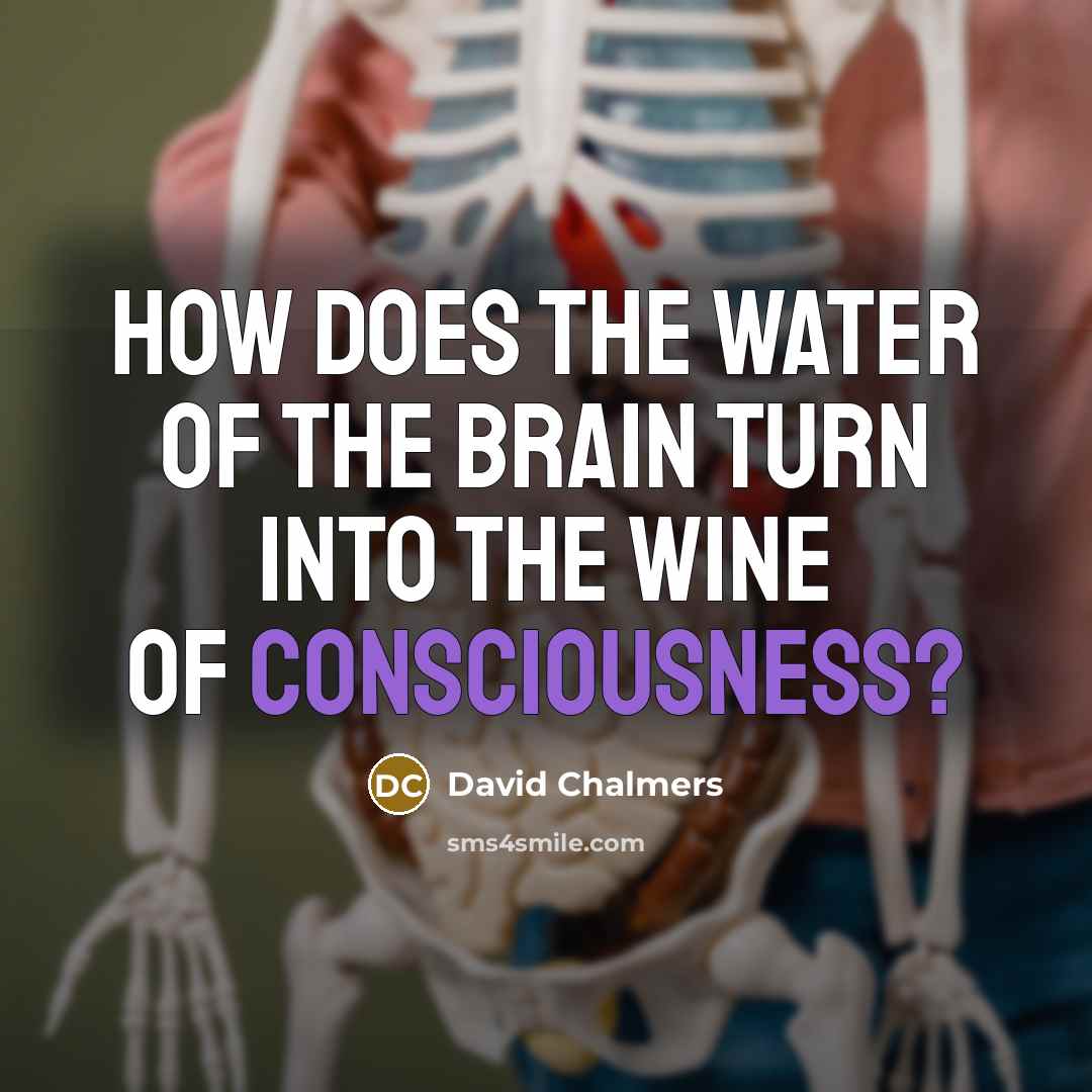 “How does the water of the brain turn into the…” quote by David Chalmers