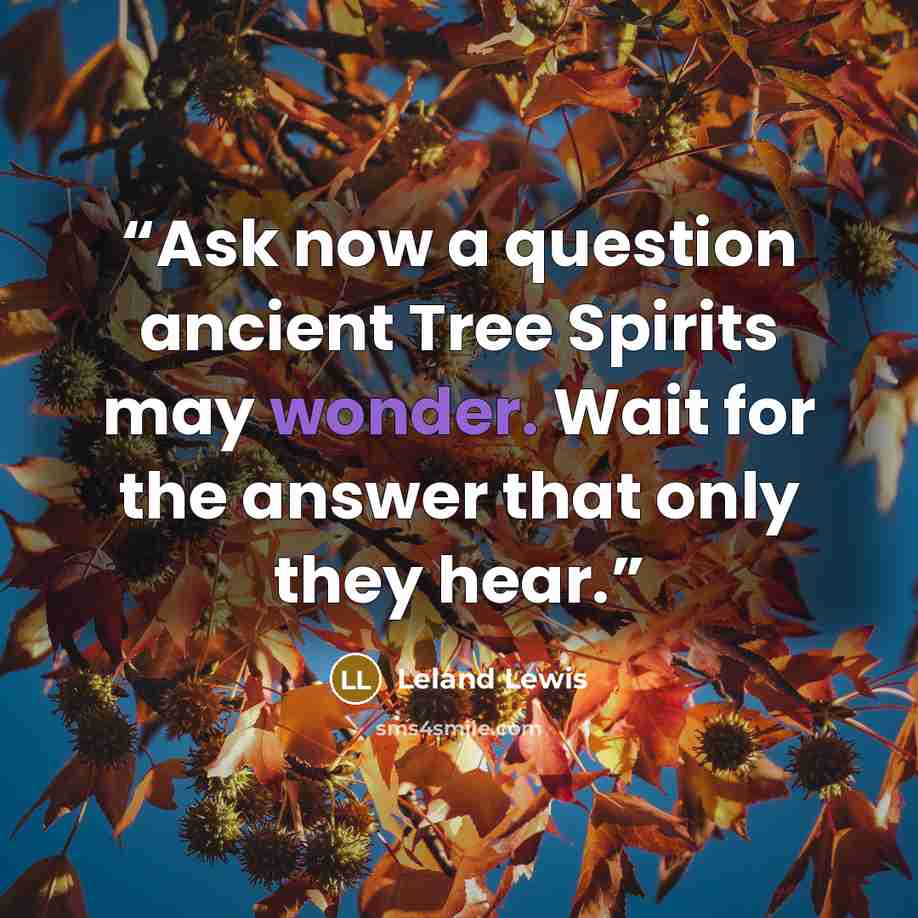 “Ask now a question ancient Tree Spirits may wonder. Wait for the answer that only they hear.” quote by Leland Lewis