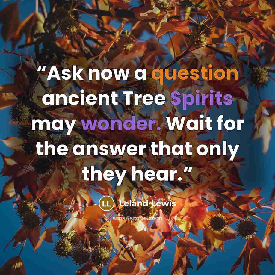 “Ask now a question ancient Tree Spirits may wonder. Wait for the answer that only they hear.” quote by Leland Lewis